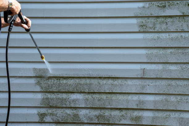 Best Garage Cleanout  in Alachua, FL