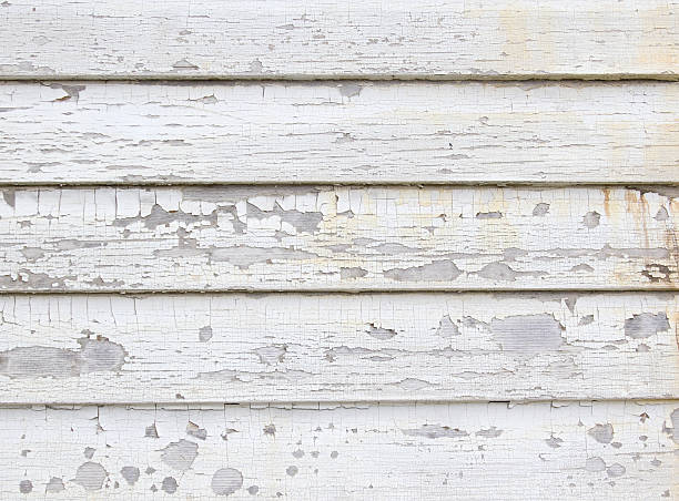 Trusted Alachua, FL Junk Removal Experts